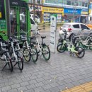 조례로 이미지