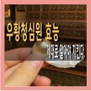 혜민약국 | 우황청심원 효능 부작용, 먹는 시간 (광동 가격)