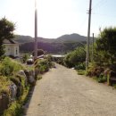 잠실농장 이미지