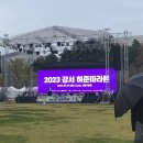 허주푸드 | 주말나들이:: 허준축제 '허준마라톤' 참가 리얼 후기