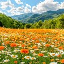 무릉도원 이미지