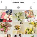 디디벨플라워
