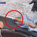 남원주유소 이미지