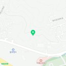 페티앙 애견미용 이미지