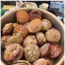 임랑스테이 이미지