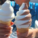 하늘땅바다친구 이미지