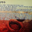 쌍동교