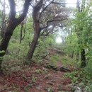 관지마을회관 | 집현산~광제산 /경남 진주, 산청