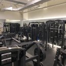 원바디핏 이미지