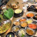 한돈암돼지