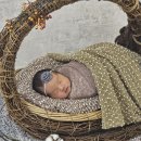 엄마손 산후조리원 이미지