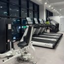 라스트짐 | 허리통증에 PT받으러 간 정관 헬스장 라스트짐