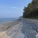 서천종합관광안내소 이미지