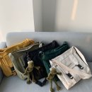 라코스테레이디