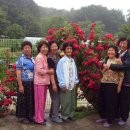 안리경로당 이미지