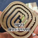 진이 | 미용사 추천 돈모브러쉬 야오 포터블우드보아 내돈내산 후기｜진이네미장원