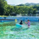 산아래 민박 이미지