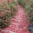 인천미래생활고등학교 이미지