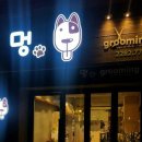 그루밍 멍 이미지