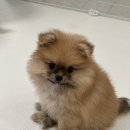해월커피
