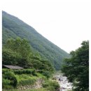 솔풍경 네이버블로그
