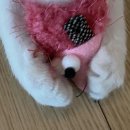 프리티펫 | [루나] 장난감 좋다하는거 반응 좋은 후기있는거 다 사는중.. 오늘은 프리티펫 쥐돌이 고양이 장난감 추천