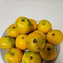 청중로 | 루원시티 과일가게 야채 밀키트 전문점 올잇마켓 가정점 후기