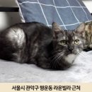 행운동-10 이미지