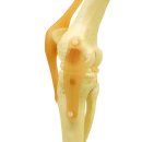 윤성한의원 이미지