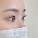 진래쉬 | 강남속눈썹 비올래쉬 후기, 속눈썹펌 + 언더래쉬 연장 받고 눈매 또렷해진 후기