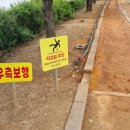 지산샛강생태공원화장실 이미지