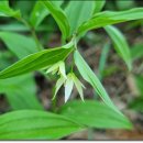 산골짜기 이미지