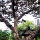 양등경로당 이미지