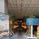 사임당로17길 18-5 | [서울 마포] 구주 홍대 | 홍대에서 조용하고 분위기 좋은 이자카야 맛집! 내돈내산 후기