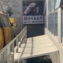 용인대우아유도관 이미지