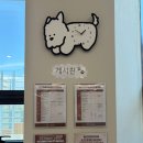검단이담동물의료센터 | 검단 오뜨동물의료센터에서 강아지 십자인대 TPLO 수술 받고 회복 중인 후기