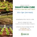 드림팜코리아 이미지