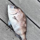 동검 한국빌라 이미지