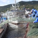 강화 뮤지컬 갈라 콘서트 이미지