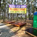 나드리야영장 이미지