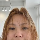 하님약국 | [요코하마 일상] 일본에서 한국 운전면허로 일본 운전면허로 교환 신청하기