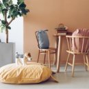 답21동물병원 이미지