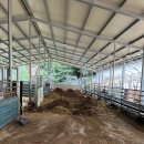 팔미농장 이미지