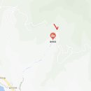 울릉벚꽃 이미지