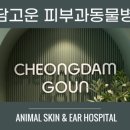강남동물병원 이미지