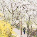 용암천1 이미지