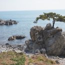 해파랑길9구간 이미지