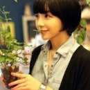 에이미헤어 - 남양주시 | 에이미헤어