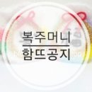 모헤이