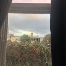 272-1010 | 호텔, 오클랜드 국제공항 공항버스 SKYDRIVE, 대한항공 KE412편 이코노미 탑승후기, 인천공항 T2)